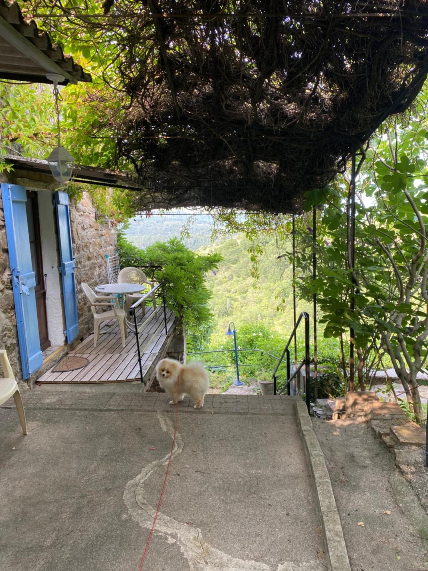 Villa Lou-Pelou à Gravieres Extérieur photo